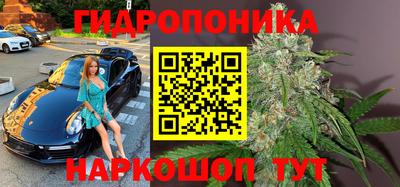 прущие крисы Краснознаменск